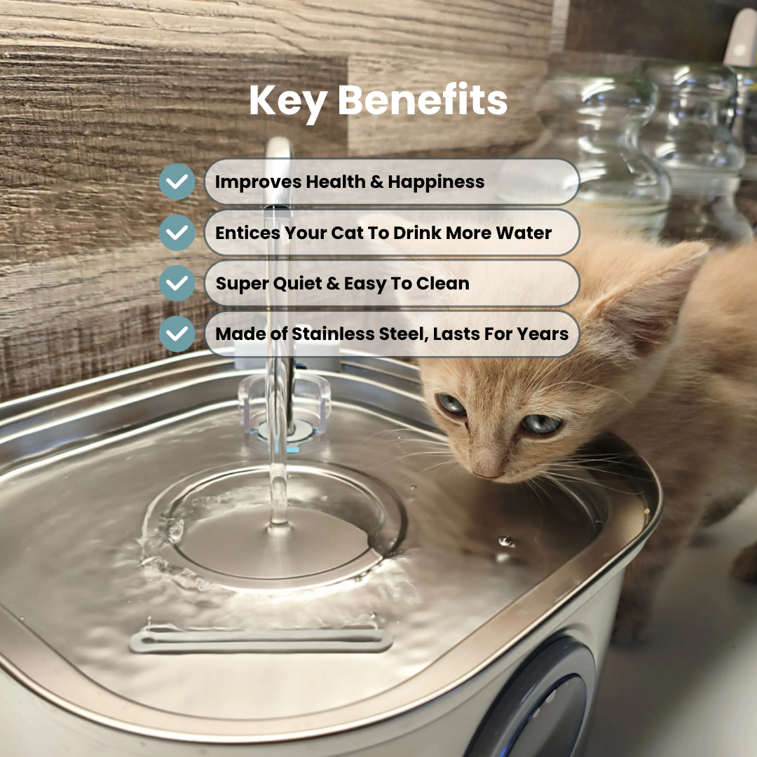 HydraFlow™ Stainless Steel Pet Fountain