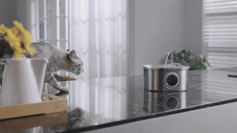 HydraFlow™ Stainless Steel Pet Fountain