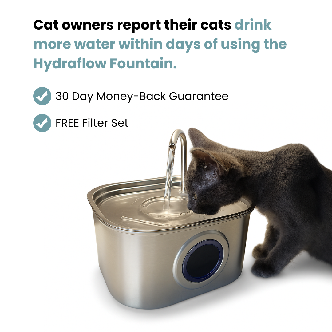 HydraFlow™ Stainless Steel Pet Fountain