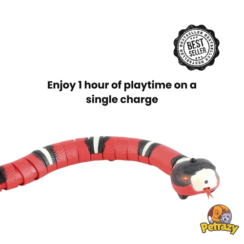 Smart Sensing Snake Cat Toy