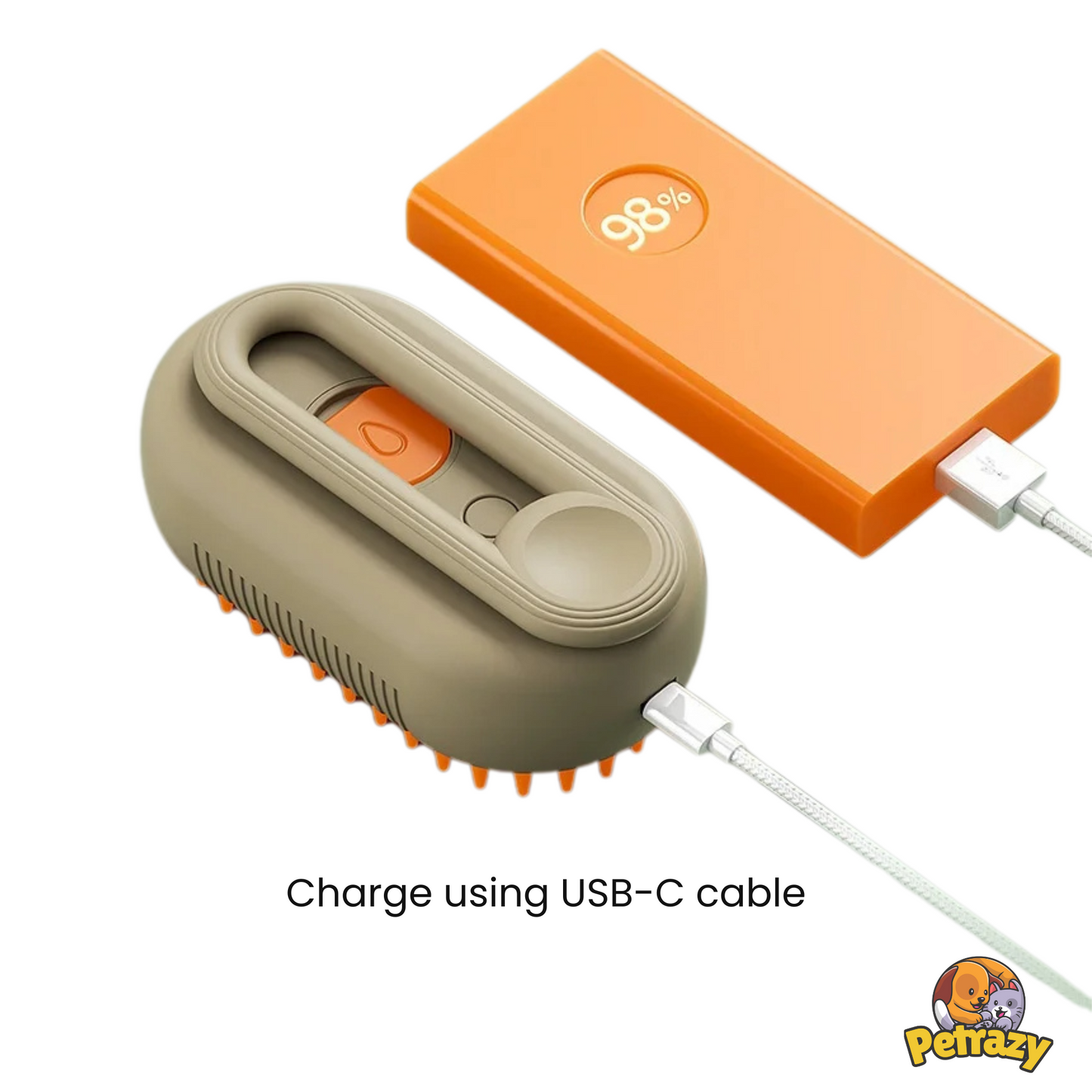 Pet Steam Brush