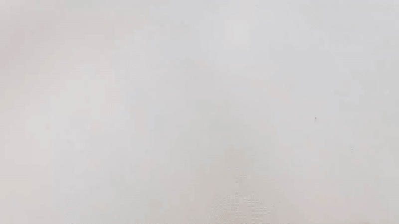 Smart Sensing Snake Cat Toy