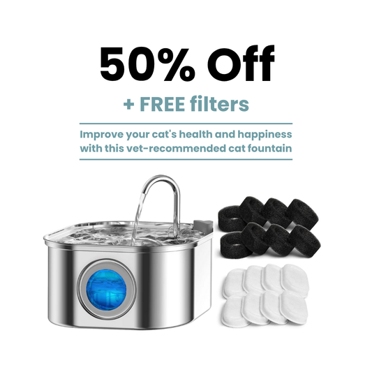 HydraFlow™ 4l Fountain