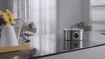 HydraFlow™ Stainless Steel Pet Fountain