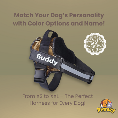 Personalized No Pull Dog Harness