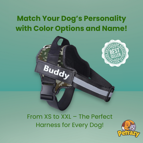 Personalized No Pull Dog Harness