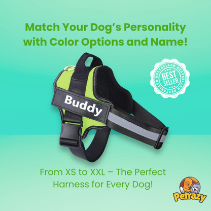 Personalized No Pull Dog Harness