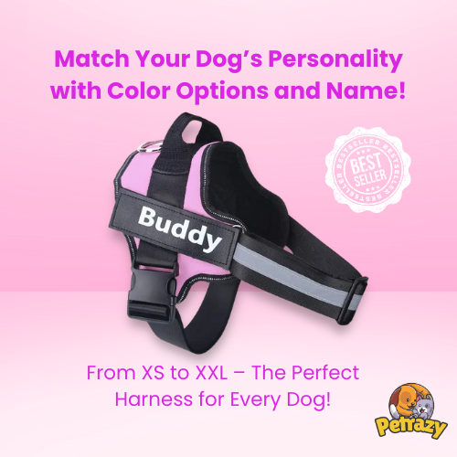 Personalized No Pull Dog Harness