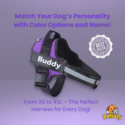 Personalized No Pull Dog Harness