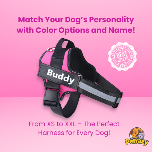 Personalized No Pull Dog Harness