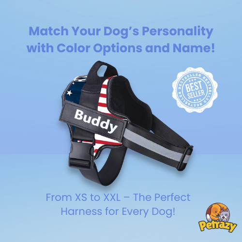 Personalized No Pull Dog Harness