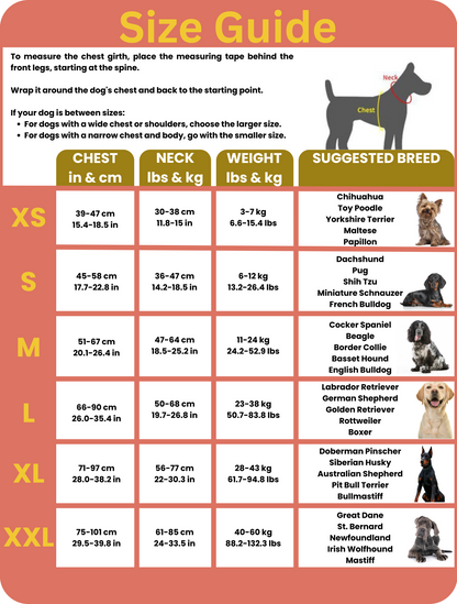 Personalized No Pull Dog Harness