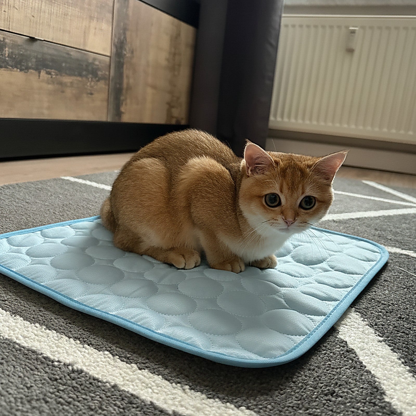 chillpad real ginger blue