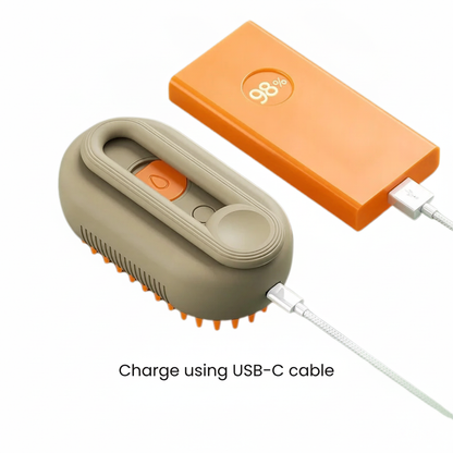 Pet Steam Brush