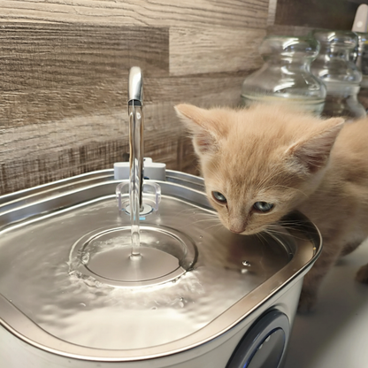 HydraFlow 4l Fountain