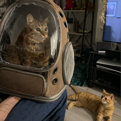 petstronaut real carried